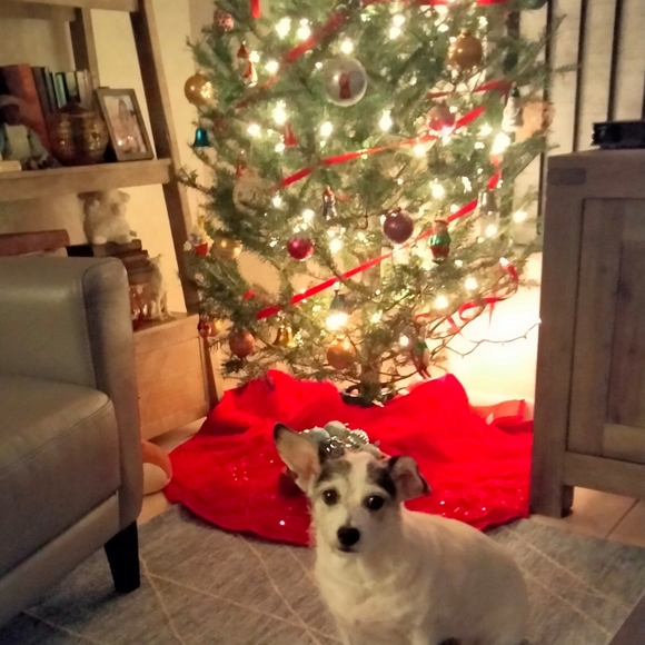 Meet your Posher, Ewa - Picture 10 of 16